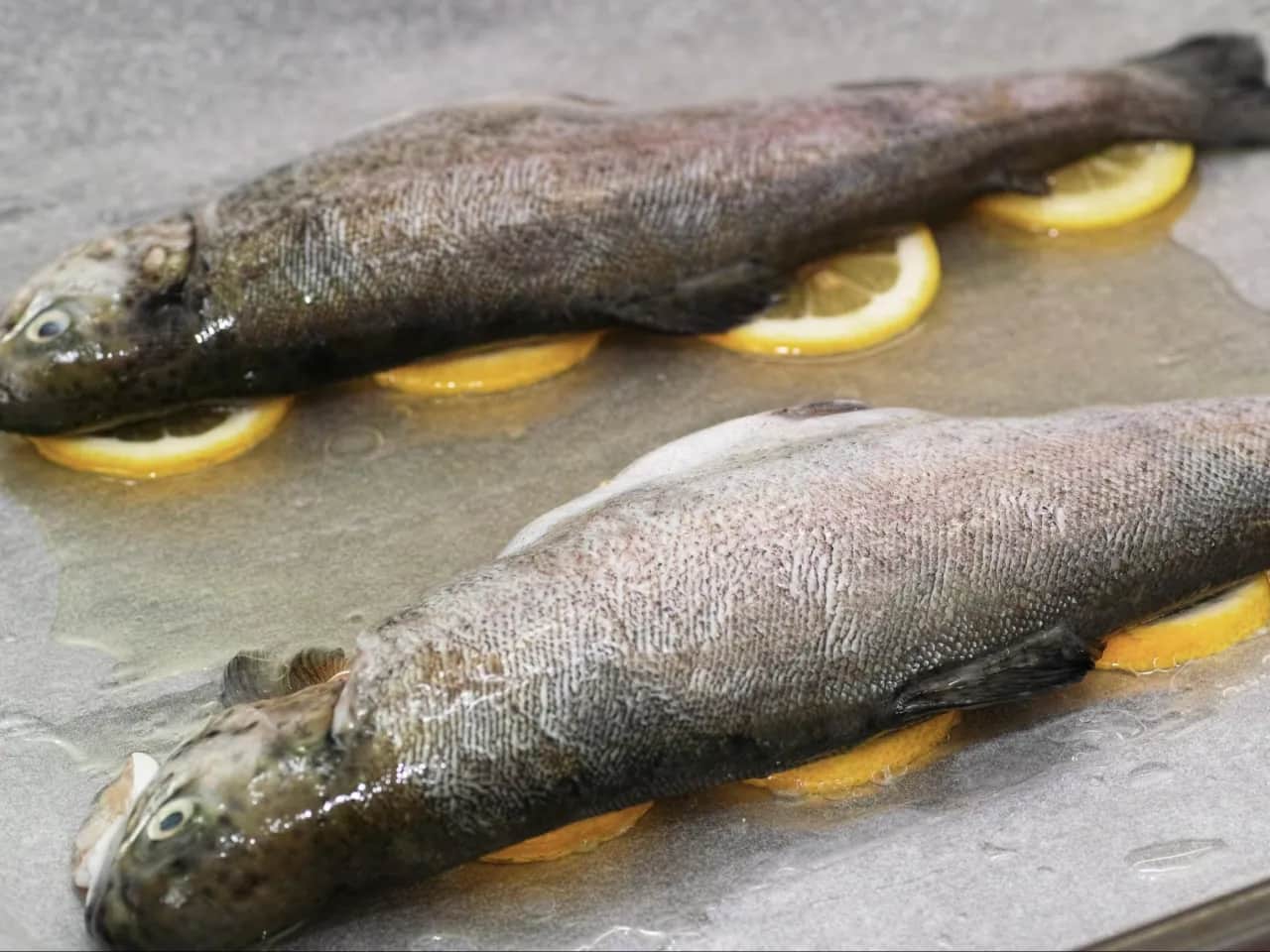 Jak rozpoznać świeżą rybę? Oczy i skrzela zdradzą wszystko!