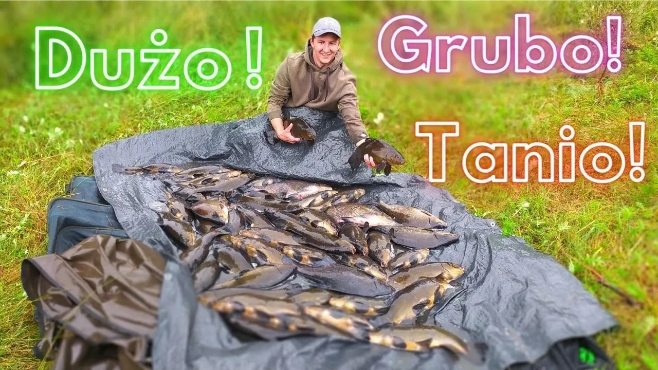 Jak zrobić zanętę wędkarską, aby skutecznie łowić ryby?