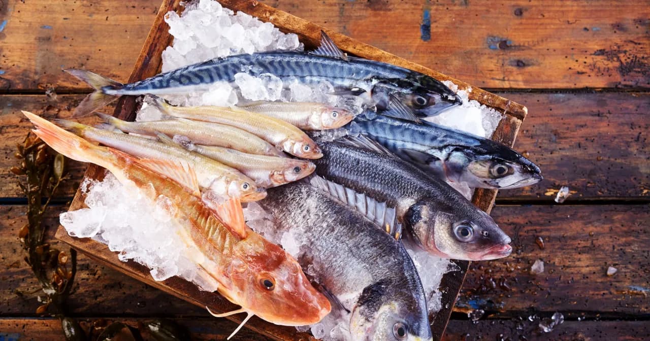 Jaka ryba dla niemowląt jest najzdrowsza i bezpieczna do jedzenia