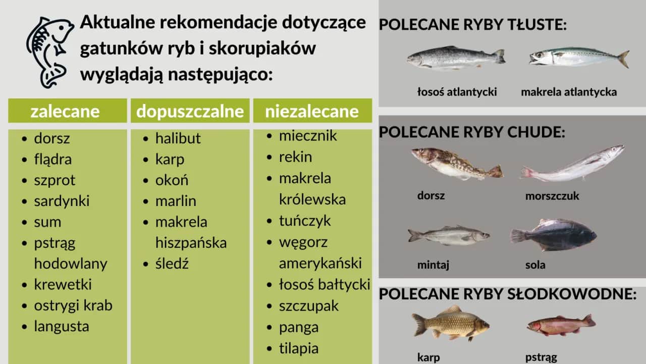 Jakie ryby morskie mają najmniej ości? Wybierz bezpieczne!